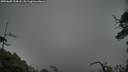 ./images/calvert/fitz-hugh-hecate/20250605/fitz-hugh-hecate20250605_214008M.jpg