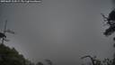 ./images/calvert/fitz-hugh-hecate/20250605/fitz-hugh-hecate20250605_214508M.jpg