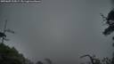 ./images/calvert/fitz-hugh-hecate/20250605/fitz-hugh-hecate20250605_215006M.jpg