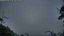 ./images/calvert/fitz-hugh-hecate/20250605/fitz-hugh-hecate20250605_215508M.jpg