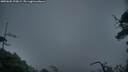 ./images/calvert/fitz-hugh-hecate/20250605/fitz-hugh-hecate20250605_220009M.jpg