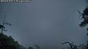 ./images/calvert/fitz-hugh-hecate/20250605/fitz-hugh-hecate20250605_220508M.jpg