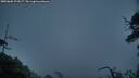 ./images/calvert/fitz-hugh-hecate/20250605/fitz-hugh-hecate20250605_221007M.jpg