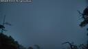 ./images/calvert/fitz-hugh-hecate/20250605/fitz-hugh-hecate20250605_221508M.jpg