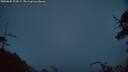 ./images/calvert/fitz-hugh-hecate/20250605/fitz-hugh-hecate20250605_222507M.jpg