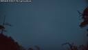 ./images/calvert/fitz-hugh-hecate/20250605/fitz-hugh-hecate20250605_223007M.jpg