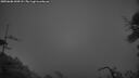 ./images/calvert/fitz-hugh-hecate/20250606/fitz-hugh-hecate20250606_044507M.jpg