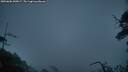 ./images/calvert/fitz-hugh-hecate/20250606/fitz-hugh-hecate20250606_045007M.jpg