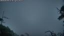 ./images/calvert/fitz-hugh-hecate/20250606/fitz-hugh-hecate20250606_045508M.jpg