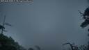 ./images/calvert/fitz-hugh-hecate/20250606/fitz-hugh-hecate20250606_050008M.jpg