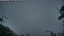 ./images/calvert/fitz-hugh-hecate/20250606/fitz-hugh-hecate20250606_050507M.jpg