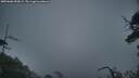 ./images/calvert/fitz-hugh-hecate/20250606/fitz-hugh-hecate20250606_053009M.jpg