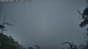 ./images/calvert/fitz-hugh-hecate/20250606/fitz-hugh-hecate20250606_054009M.jpg