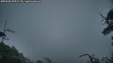 ./images/calvert/fitz-hugh-hecate/20250606/fitz-hugh-hecate20250606_055008M.jpg