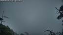 ./images/calvert/fitz-hugh-hecate/20250606/fitz-hugh-hecate20250606_055507M.jpg