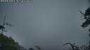 ./images/calvert/fitz-hugh-hecate/20250606/fitz-hugh-hecate20250606_060011M.jpg