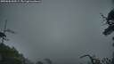 ./images/calvert/fitz-hugh-hecate/20250606/fitz-hugh-hecate20250606_060509M.jpg