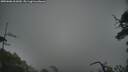 ./images/calvert/fitz-hugh-hecate/20250606/fitz-hugh-hecate20250606_061010M.jpg