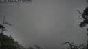 ./images/calvert/fitz-hugh-hecate/20250606/fitz-hugh-hecate20250606_061510M.jpg