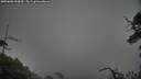 ./images/calvert/fitz-hugh-hecate/20250606/fitz-hugh-hecate20250606_063009M.jpg