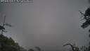 ./images/calvert/fitz-hugh-hecate/20250606/fitz-hugh-hecate20250606_063508M.jpg