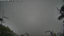 ./images/calvert/fitz-hugh-hecate/20250606/fitz-hugh-hecate20250606_064009M.jpg
