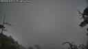 ./images/calvert/fitz-hugh-hecate/20250606/fitz-hugh-hecate20250606_064507M.jpg