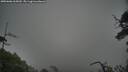 ./images/calvert/fitz-hugh-hecate/20250606/fitz-hugh-hecate20250606_065010M.jpg