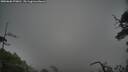 ./images/calvert/fitz-hugh-hecate/20250606/fitz-hugh-hecate20250606_070010M.jpg