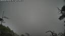 ./images/calvert/fitz-hugh-hecate/20250606/fitz-hugh-hecate20250606_070509M.jpg