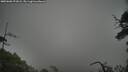 ./images/calvert/fitz-hugh-hecate/20250606/fitz-hugh-hecate20250606_072008M.jpg