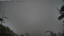 ./images/calvert/fitz-hugh-hecate/20250606/fitz-hugh-hecate20250606_072510M.jpg
