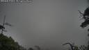 ./images/calvert/fitz-hugh-hecate/20250606/fitz-hugh-hecate20250606_073010M.jpg