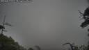 ./images/calvert/fitz-hugh-hecate/20250606/fitz-hugh-hecate20250606_073510M.jpg