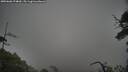 ./images/calvert/fitz-hugh-hecate/20250606/fitz-hugh-hecate20250606_074010M.jpg