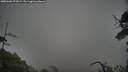./images/calvert/fitz-hugh-hecate/20250606/fitz-hugh-hecate20250606_074508M.jpg