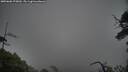 ./images/calvert/fitz-hugh-hecate/20250606/fitz-hugh-hecate20250606_075009M.jpg