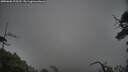 ./images/calvert/fitz-hugh-hecate/20250606/fitz-hugh-hecate20250606_075509M.jpg