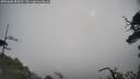 ./images/calvert/fitz-hugh-hecate/20250606/fitz-hugh-hecate20250606_084510M.jpg
