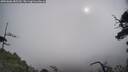./images/calvert/fitz-hugh-hecate/20250606/fitz-hugh-hecate20250606_085510M.jpg