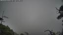 ./images/calvert/fitz-hugh-hecate/20250606/fitz-hugh-hecate20250606_091009M.jpg