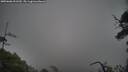 ./images/calvert/fitz-hugh-hecate/20250606/fitz-hugh-hecate20250606_091510M.jpg