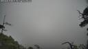 ./images/calvert/fitz-hugh-hecate/20250606/fitz-hugh-hecate20250606_094009M.jpg