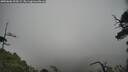 ./images/calvert/fitz-hugh-hecate/20250606/fitz-hugh-hecate20250606_100508M.jpg