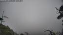 ./images/calvert/fitz-hugh-hecate/20250606/fitz-hugh-hecate20250606_101510M.jpg