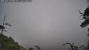 ./images/calvert/fitz-hugh-hecate/20250606/fitz-hugh-hecate20250606_102509M.jpg