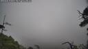 ./images/calvert/fitz-hugh-hecate/20250606/fitz-hugh-hecate20250606_103010M.jpg