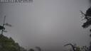 ./images/calvert/fitz-hugh-hecate/20250606/fitz-hugh-hecate20250606_104009M.jpg
