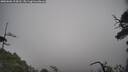 ./images/calvert/fitz-hugh-hecate/20250606/fitz-hugh-hecate20250606_104510M.jpg