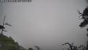 ./images/calvert/fitz-hugh-hecate/20250606/fitz-hugh-hecate20250606_105507M.jpg